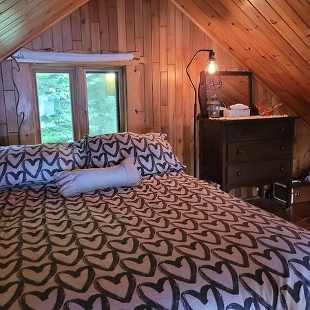 Le petit chalet sur le lac Sainte-Marguerite-du-Lac-Masson Extérieur photo